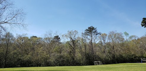 Soccer Field image 1