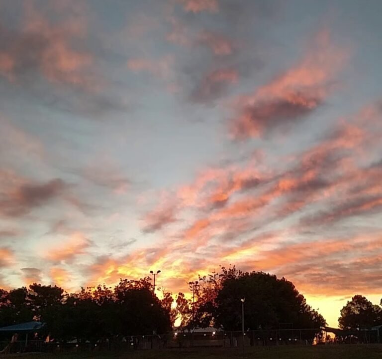 Soccer Field image 3