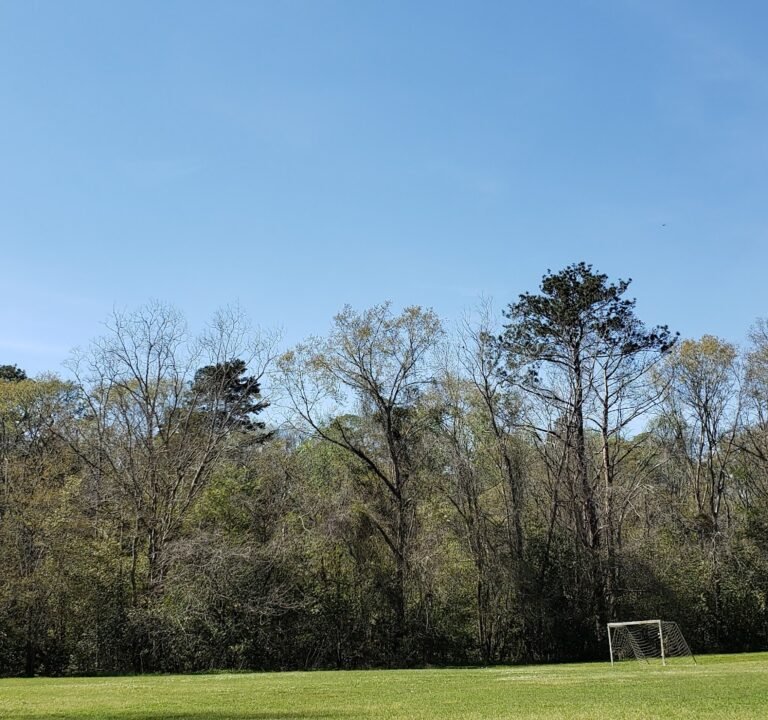Soccer Field image 2