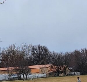 Soccer Field image 3