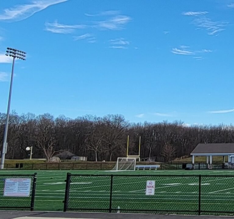 Soccer Field image 2