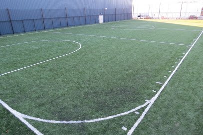 Soccer Field image 1