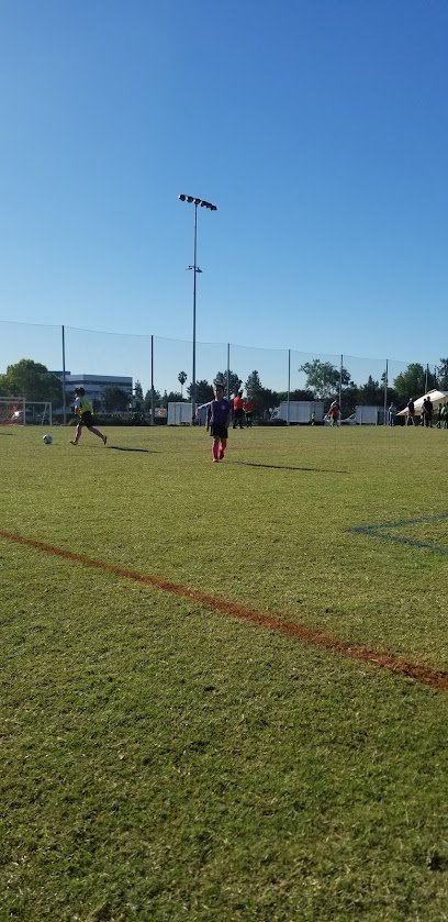 Soccer Field image 1