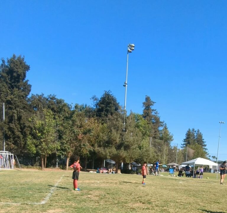 Soccer Field image 4