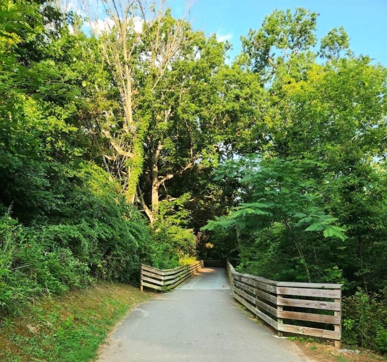 Soccer Field image 2