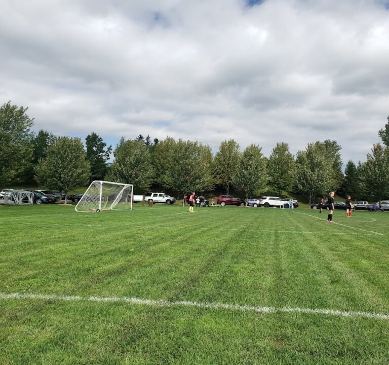 Soccer Field image 2