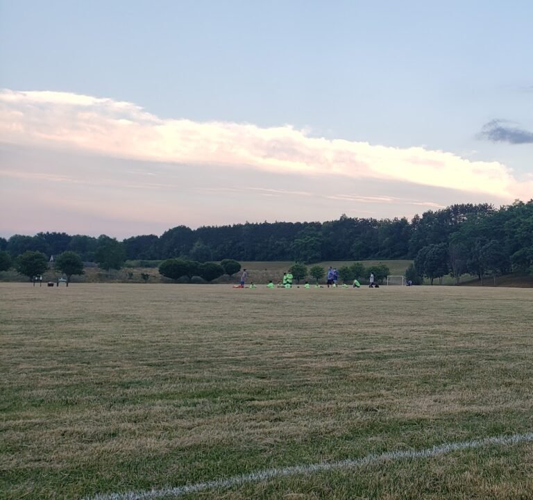 Soccer Field image 3