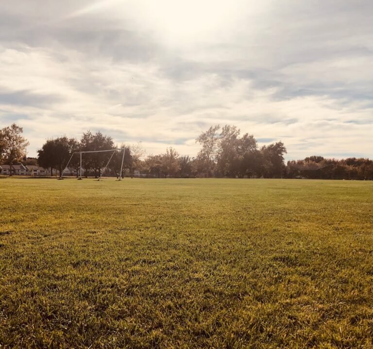 Soccer Field image 2