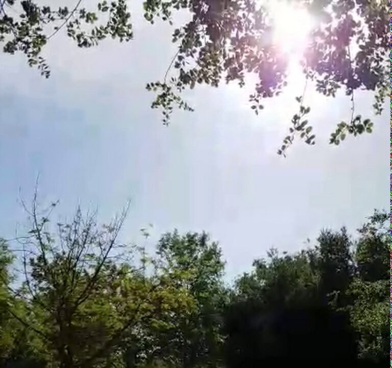 Soccer Field image 4