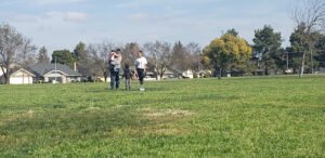 Soccer Field image 1