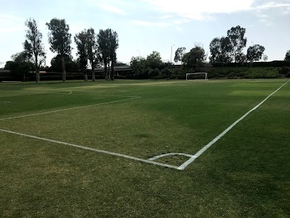 Soccer Field image 1
