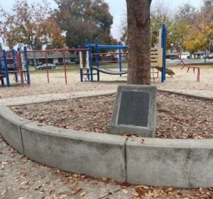 Soccer Field image 2