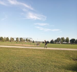 Soccer Field image 2