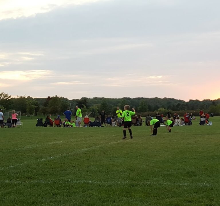 Soccer Field image 3