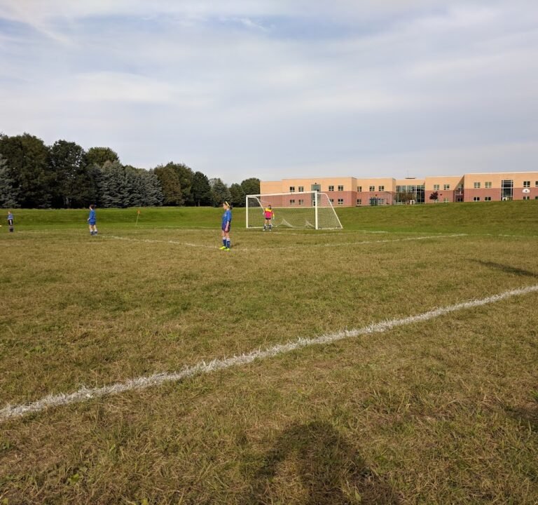 Soccer Field image 2