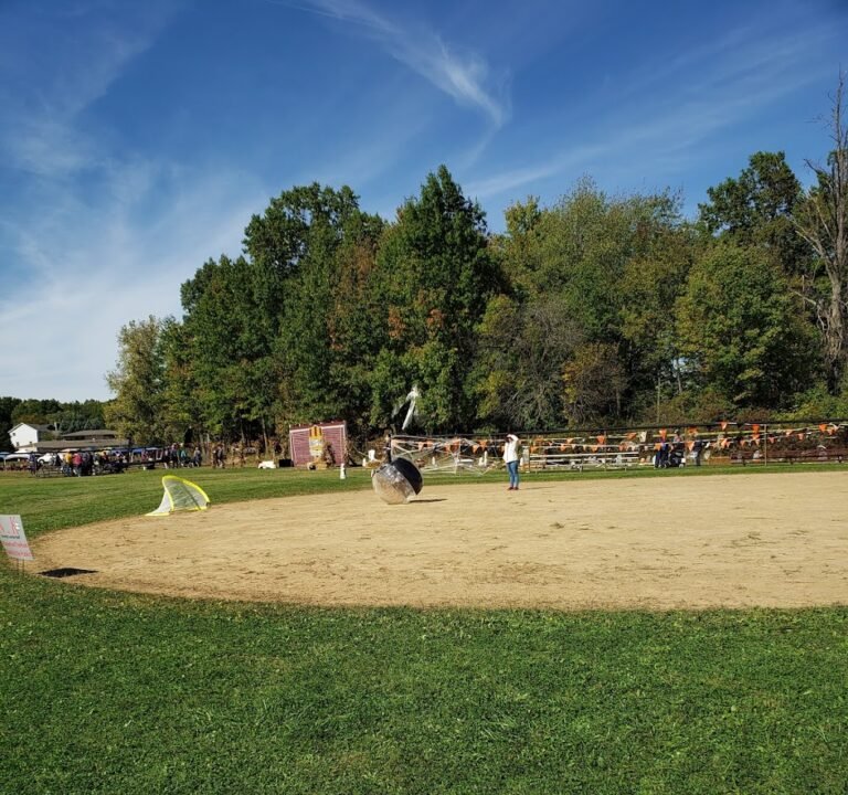 Soccer Field image 2