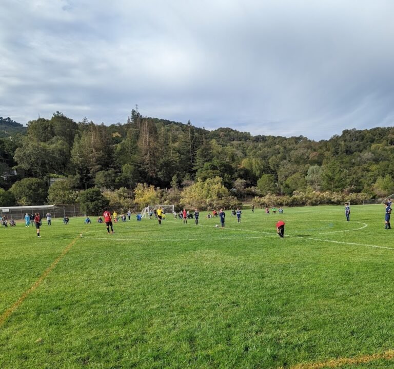 Soccer Field image 2