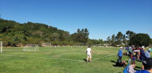Soccer Field image 1