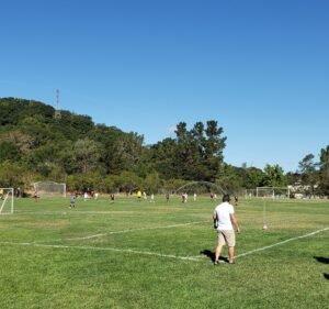 Soccer Field image 3