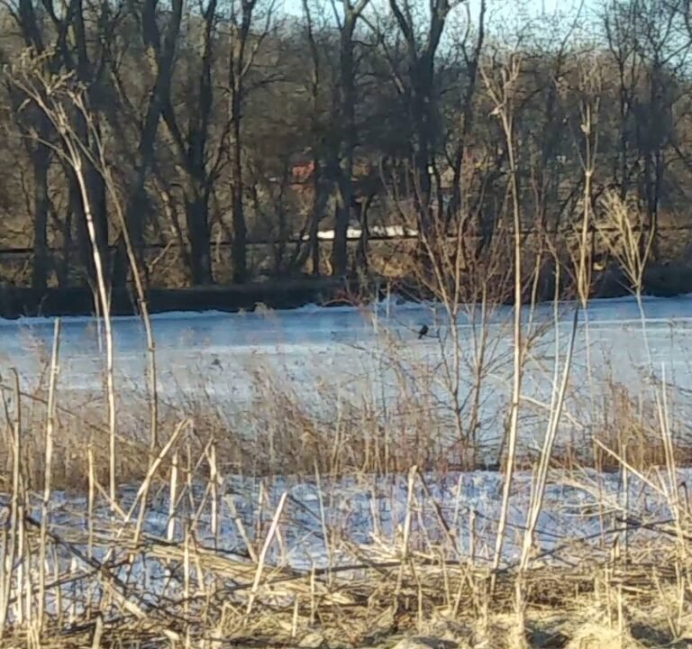 Soccer Field image 3