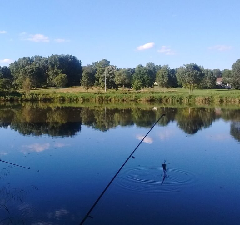 Soccer Field image 2
