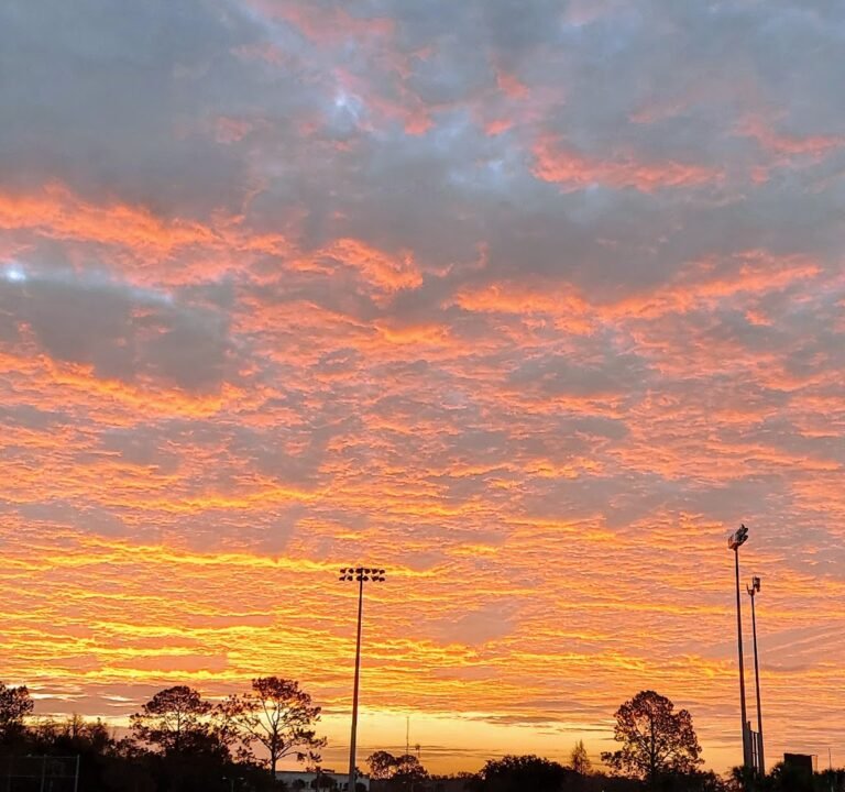 Soccer Field image 2