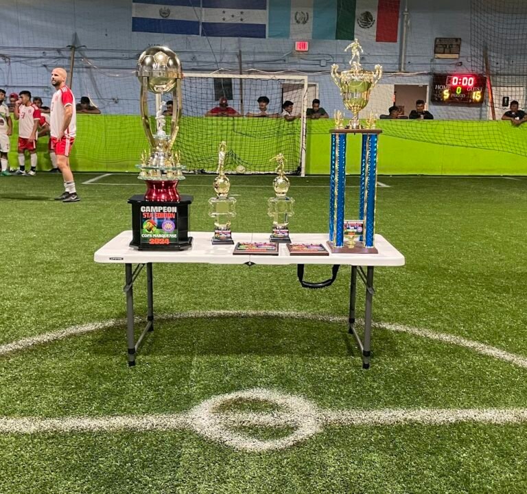 Soccer Field image 2