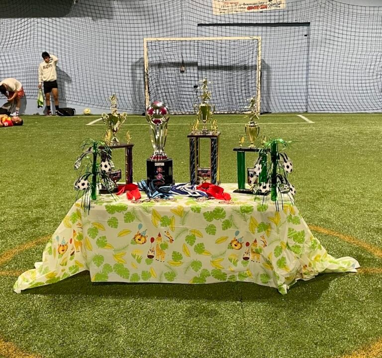 Soccer Field image 3