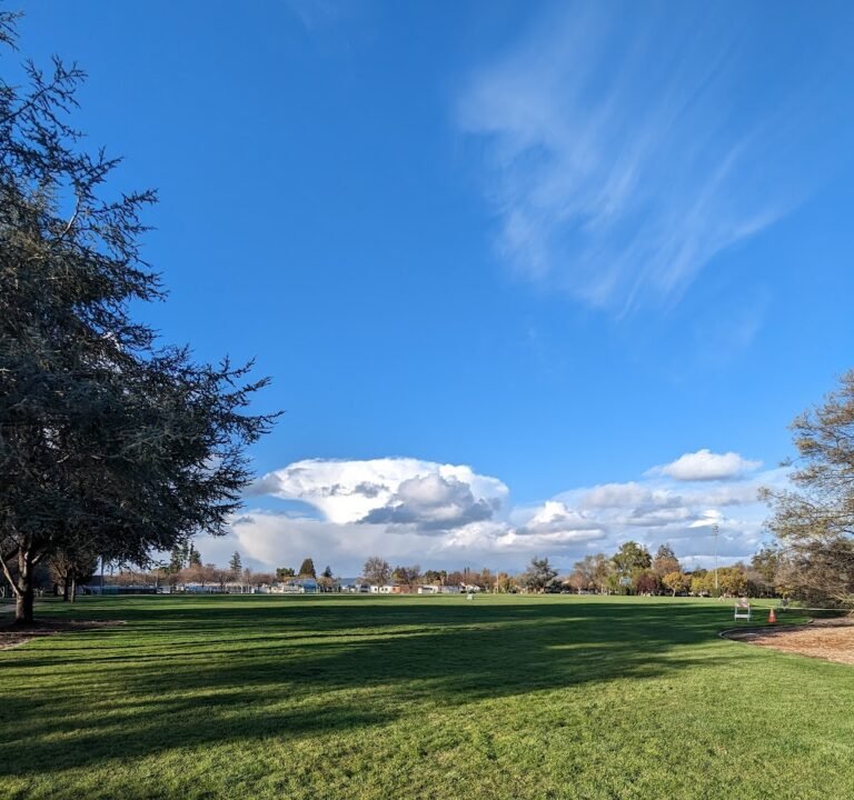 Soccer Field image 2