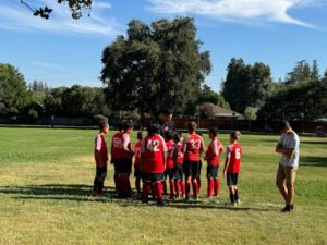 Soccer Field image 1