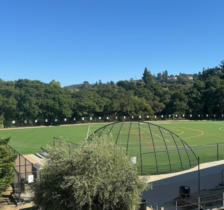 Soccer Field image 2