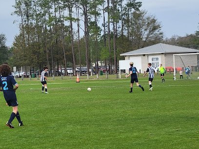 Soccer Field image 1