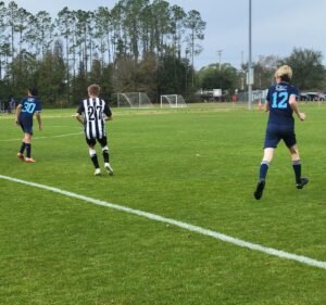 Soccer Field image 2