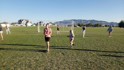 Soccer Field image 1