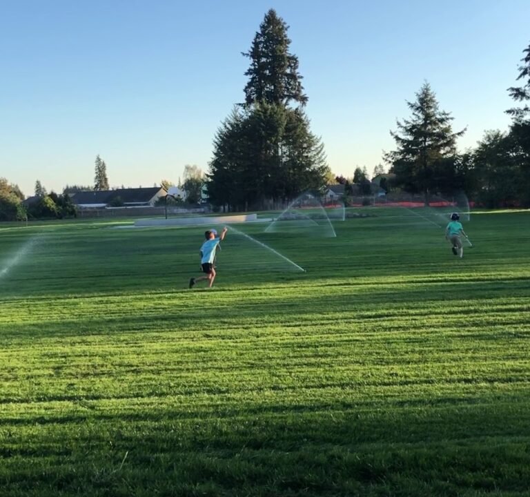 Soccer Field image 3