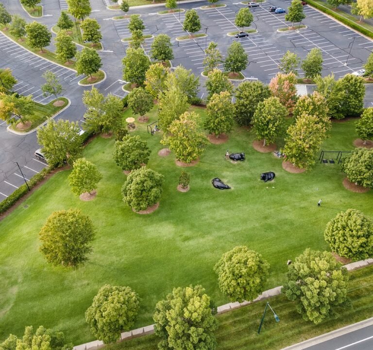 Soccer Field image 3