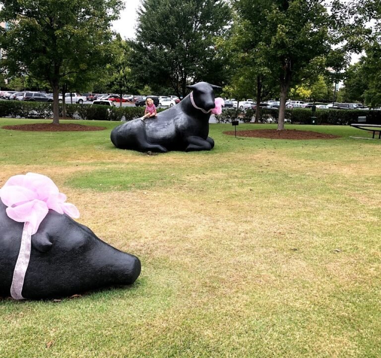 Soccer Field image 2