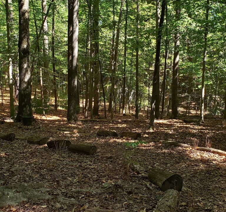 Soccer Field image 2