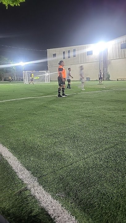 Soccer Field image 1