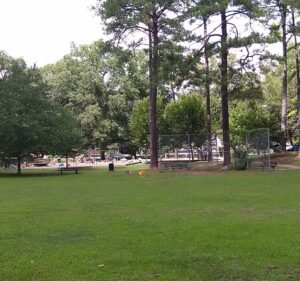 Soccer Field image 2
