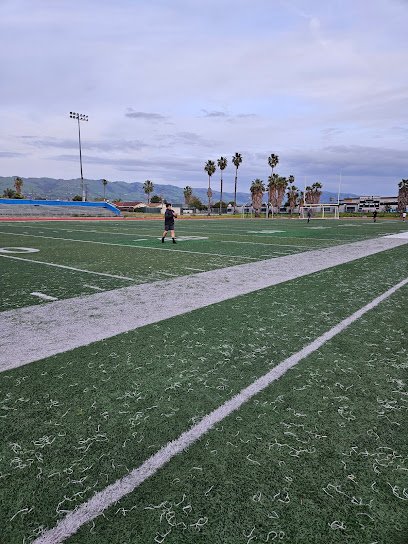 Soccer Field image 1