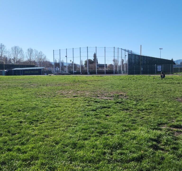 Soccer Field image 2