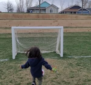 Soccer Field image 4