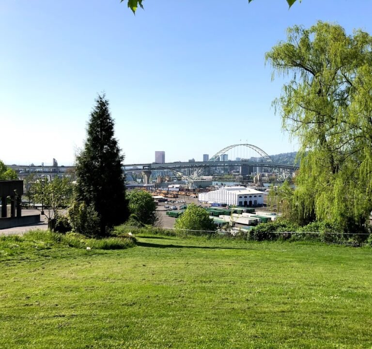 Soccer Field image 2