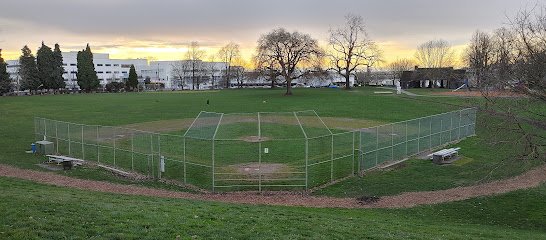 Soccer Field image 1