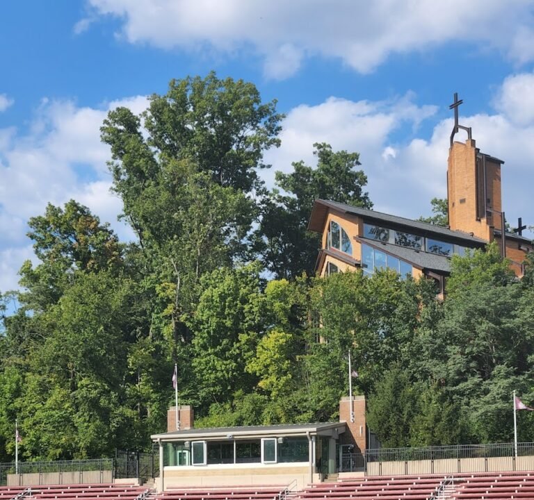 Soccer Field image 2