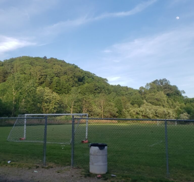 Soccer Field image 2