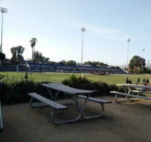 Soccer Field image 2