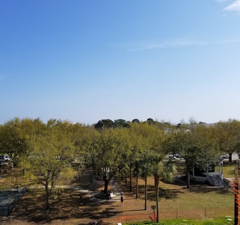 Soccer Field image 3