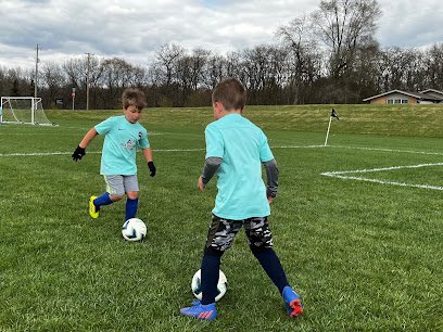 Soccer Field image 1